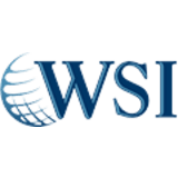 WSI DMS Digital Consulting