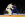 Daniel Powell won silver in the -90kg category