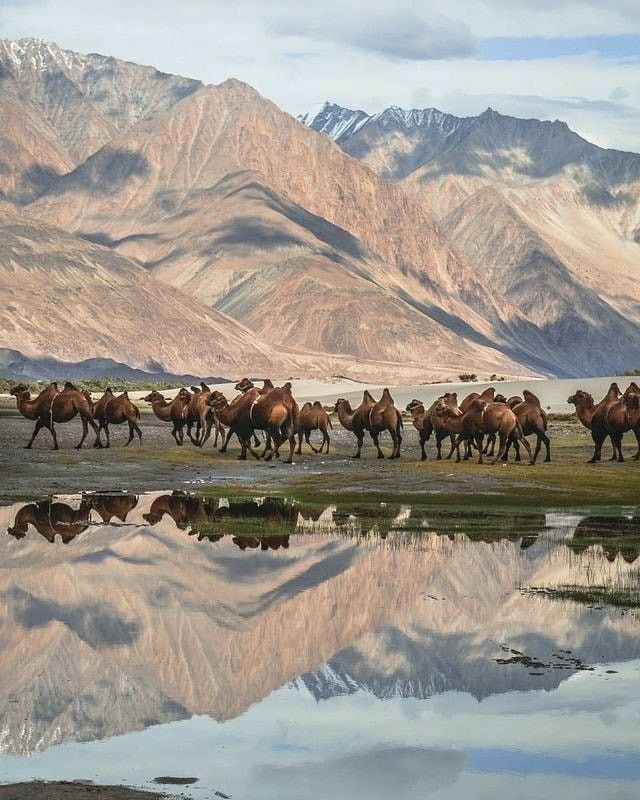 Ladakh: Villages, Valleys & Lakes  - Image 2