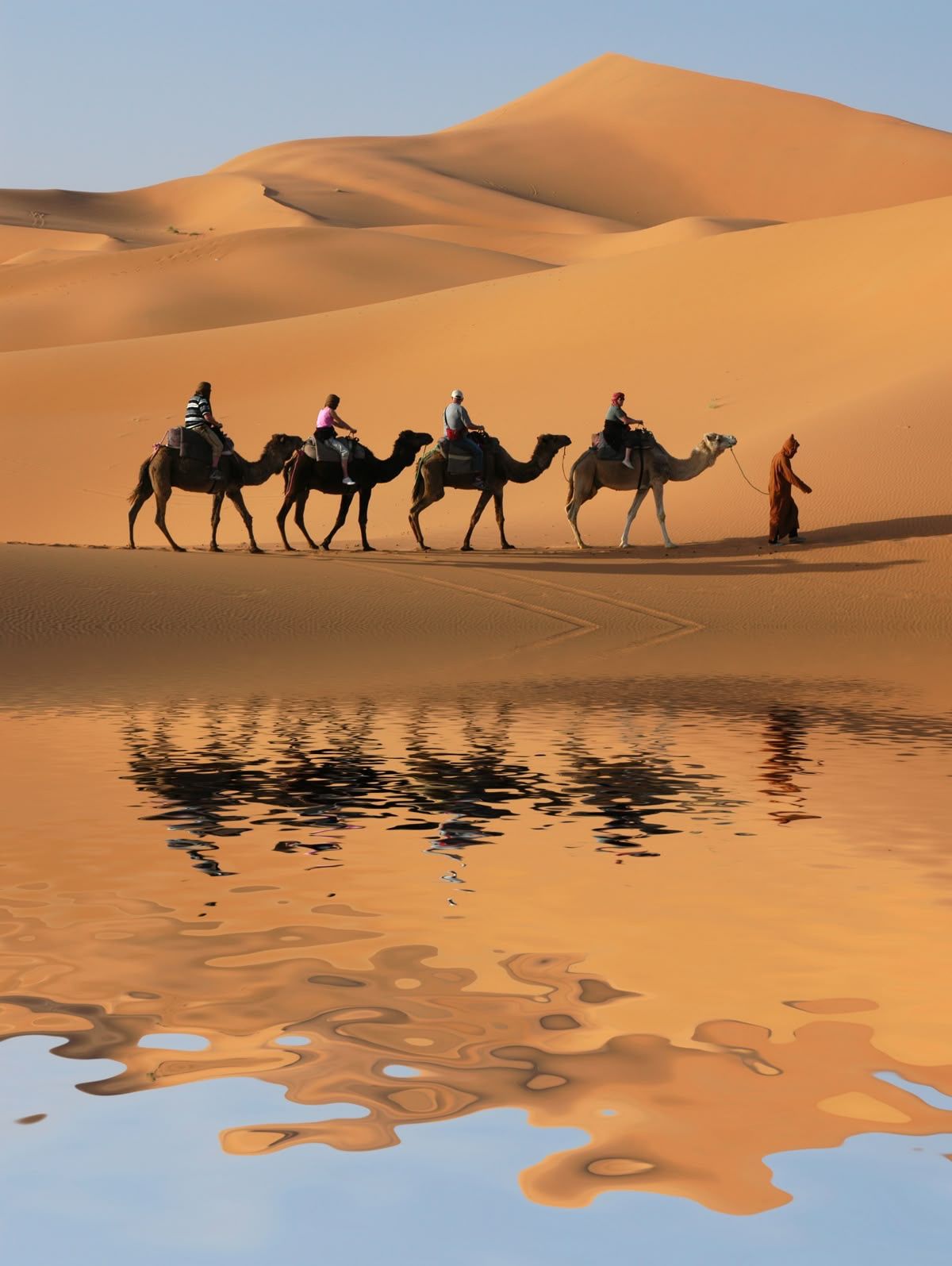 Royal Heritage Circuit – Rajasthan - Image 3