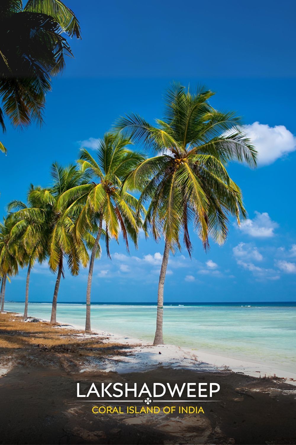 LAKSHADWEEP  - Image 1