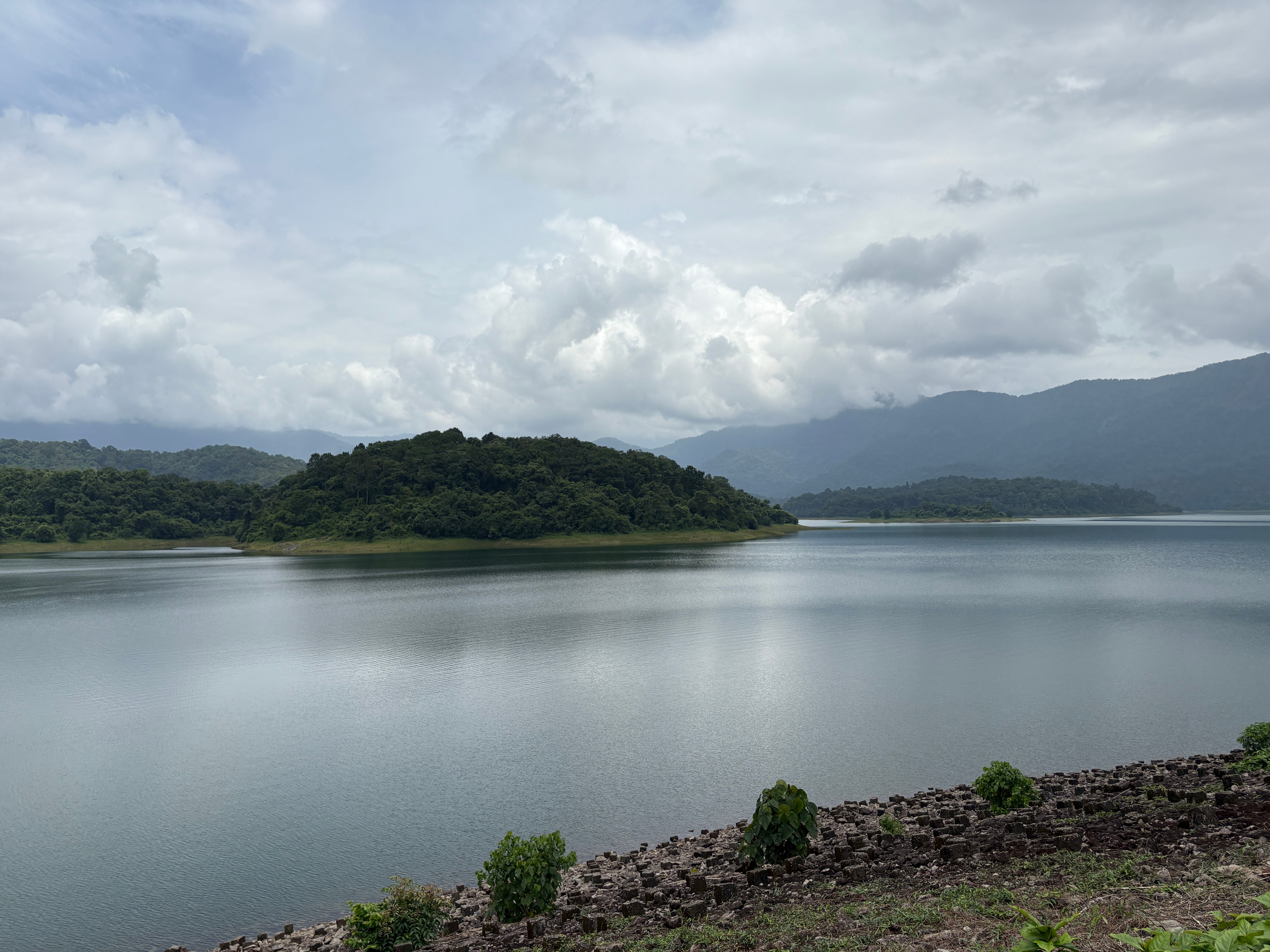 Chimmini Forest Trek Camp 