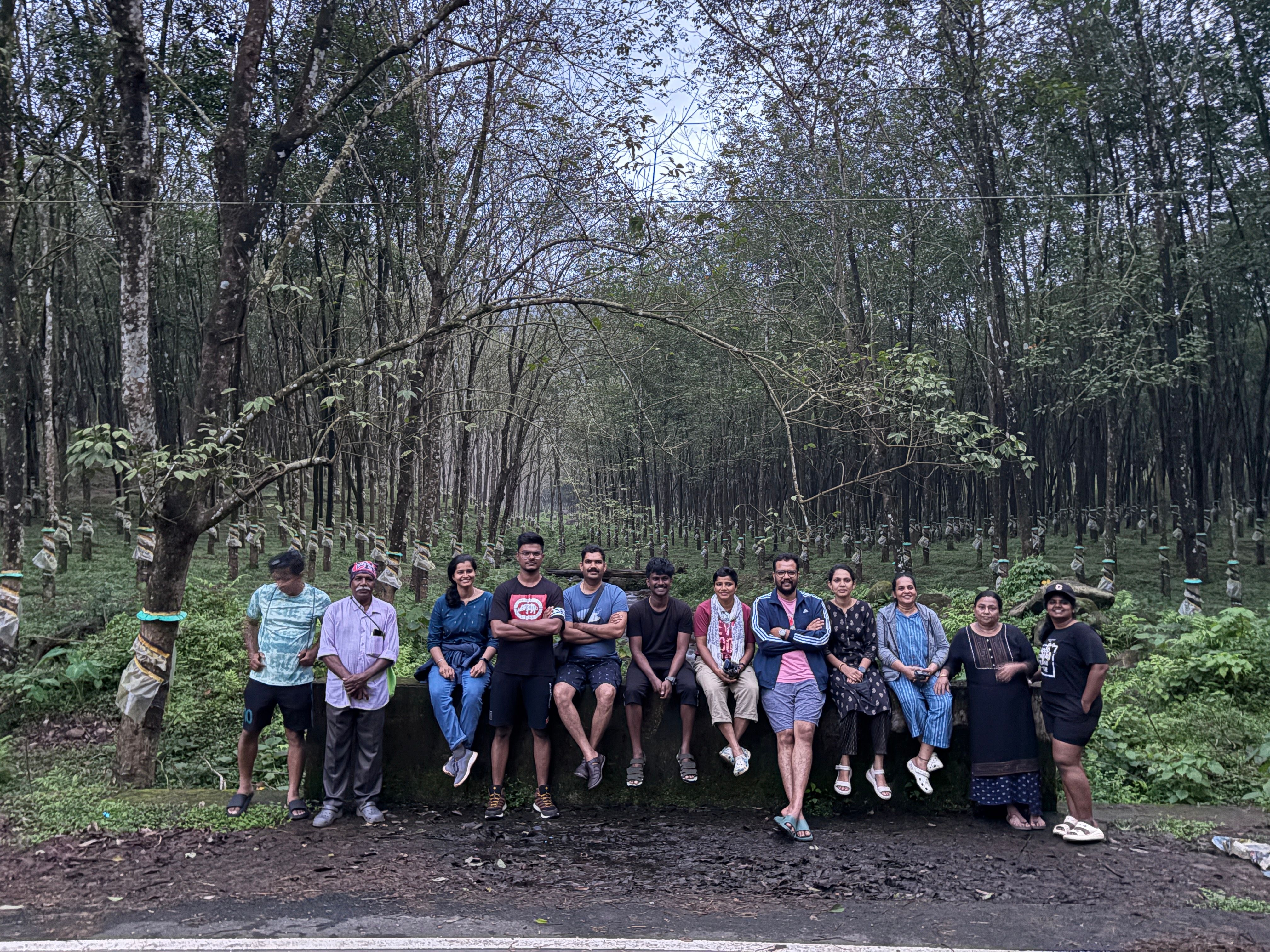 Chimmini Forest Trek Camp  - Image 2