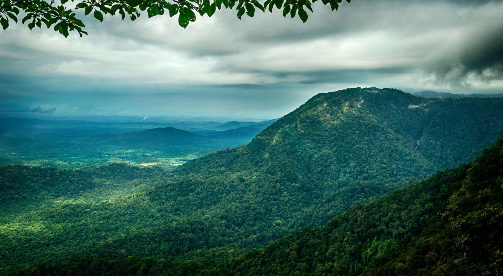 Agumbe Monsoon Trip