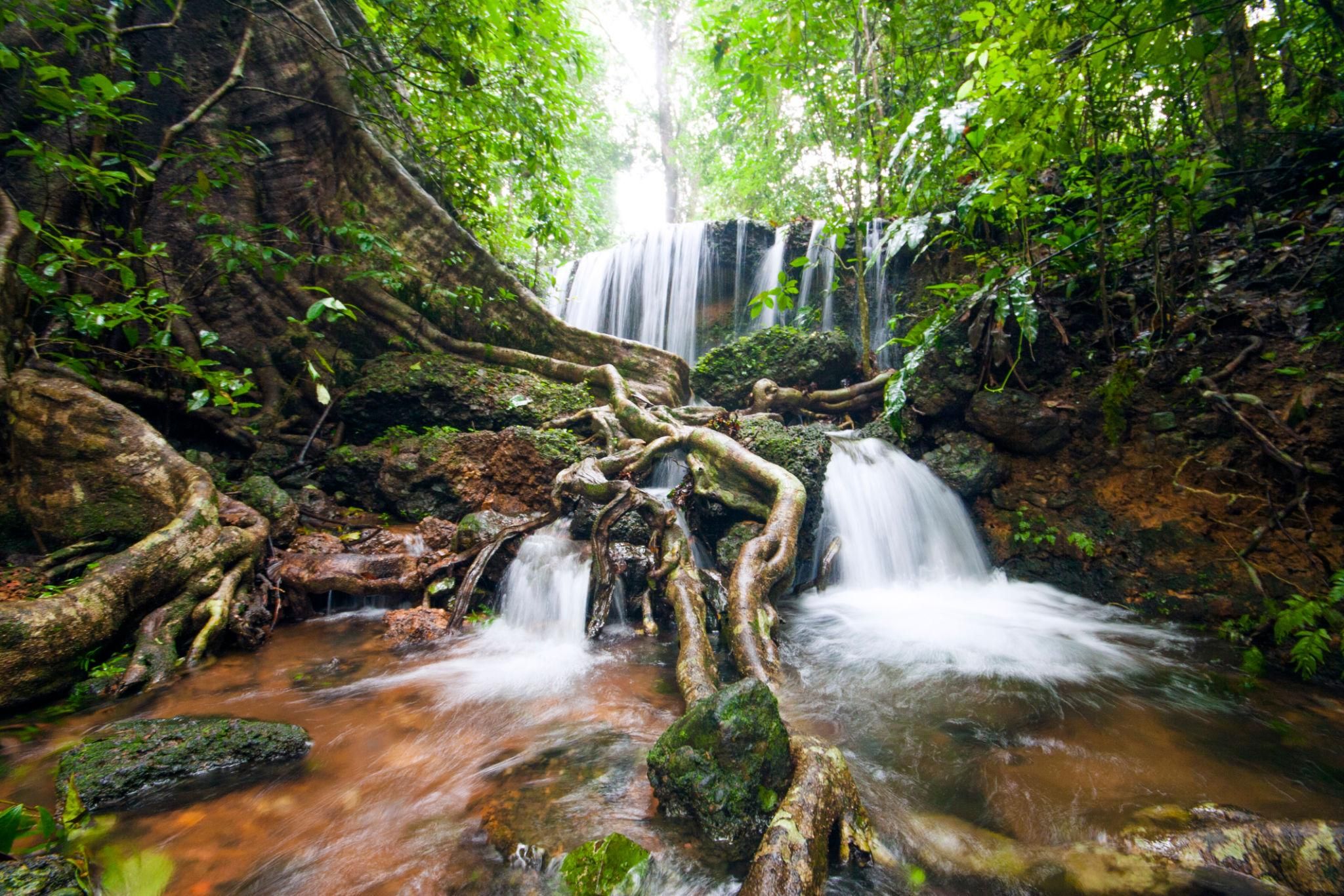 Agumbe Monsoon Trip - Image 2