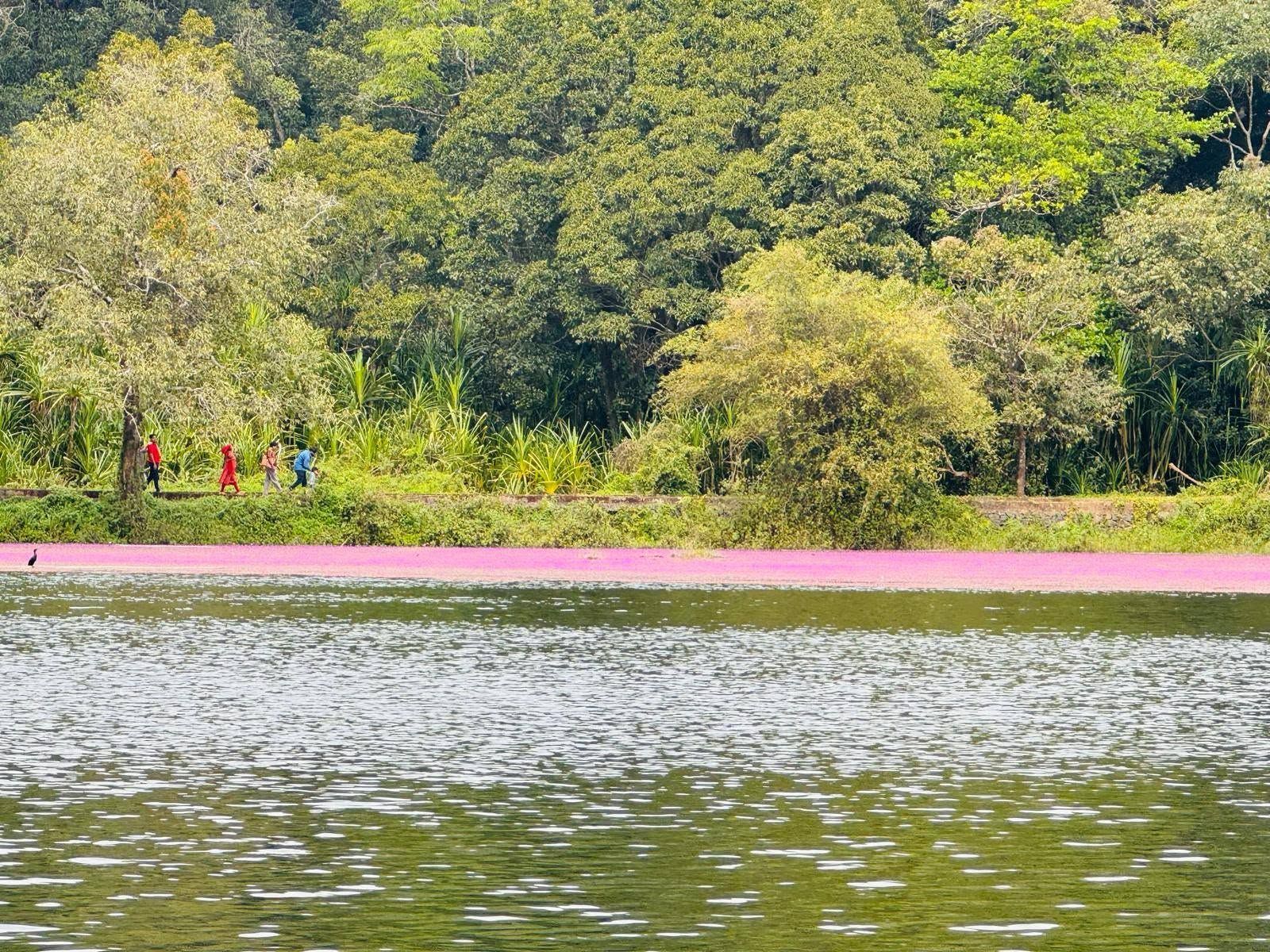 KERALA COASTAL & HILL ESCAPE