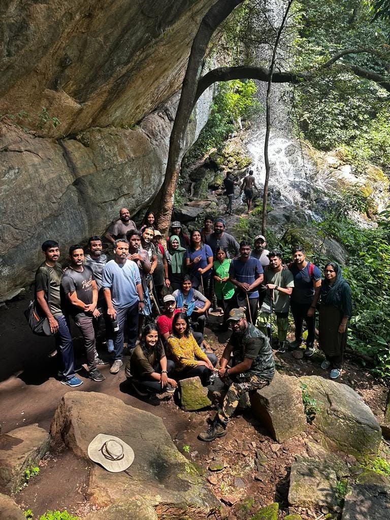 CHIMMINI - Image 8