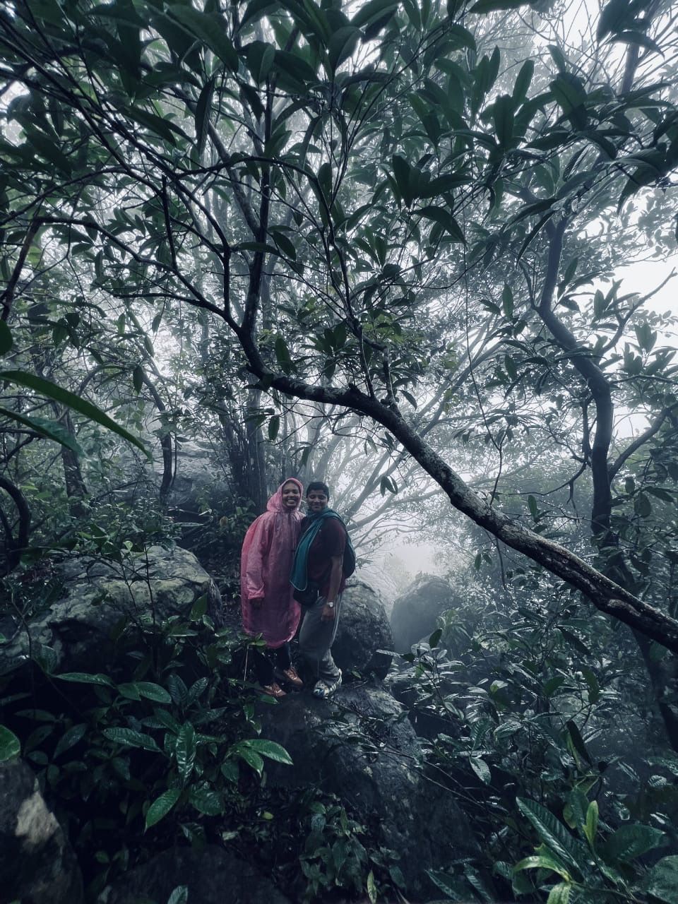 MONSOON TREK - Image 3