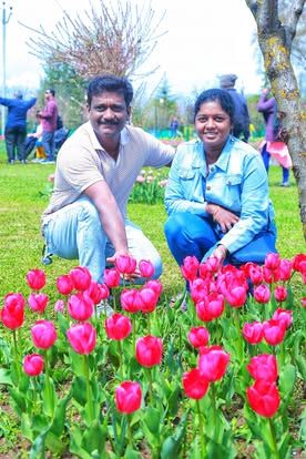 TULIP FESTIVAL @KASHMIR  - Image 1