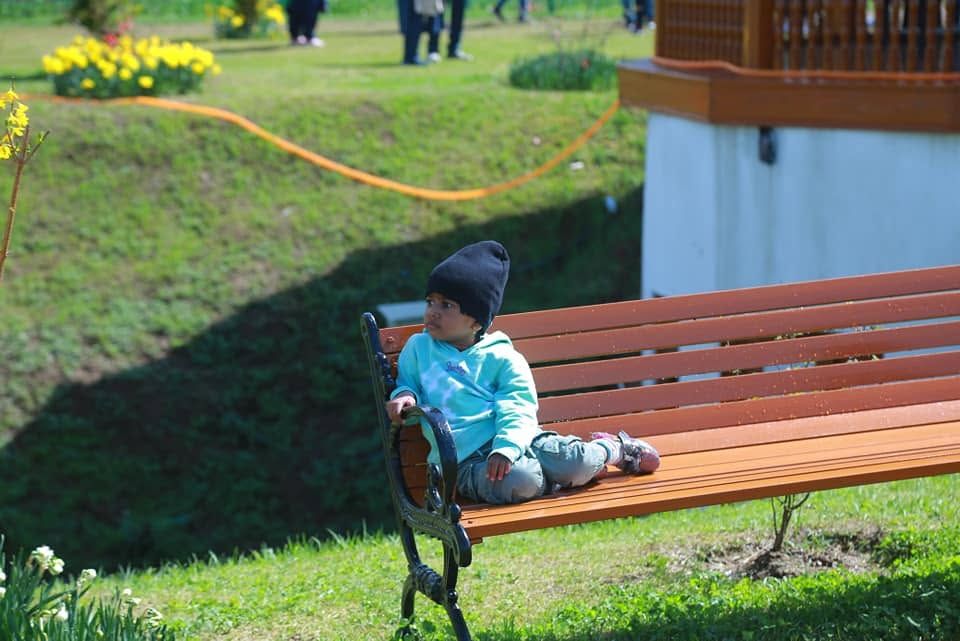 TULIP FESTIVAL @KASHMIR  - Image 2
