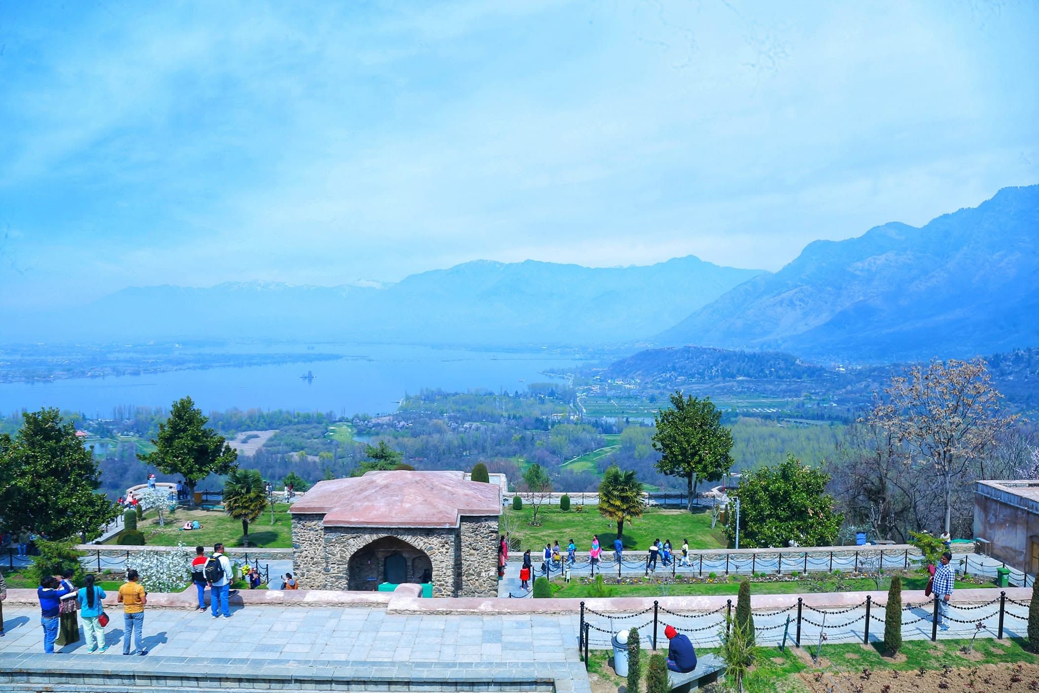 TULIP FESTIVAL @KASHMIR 
