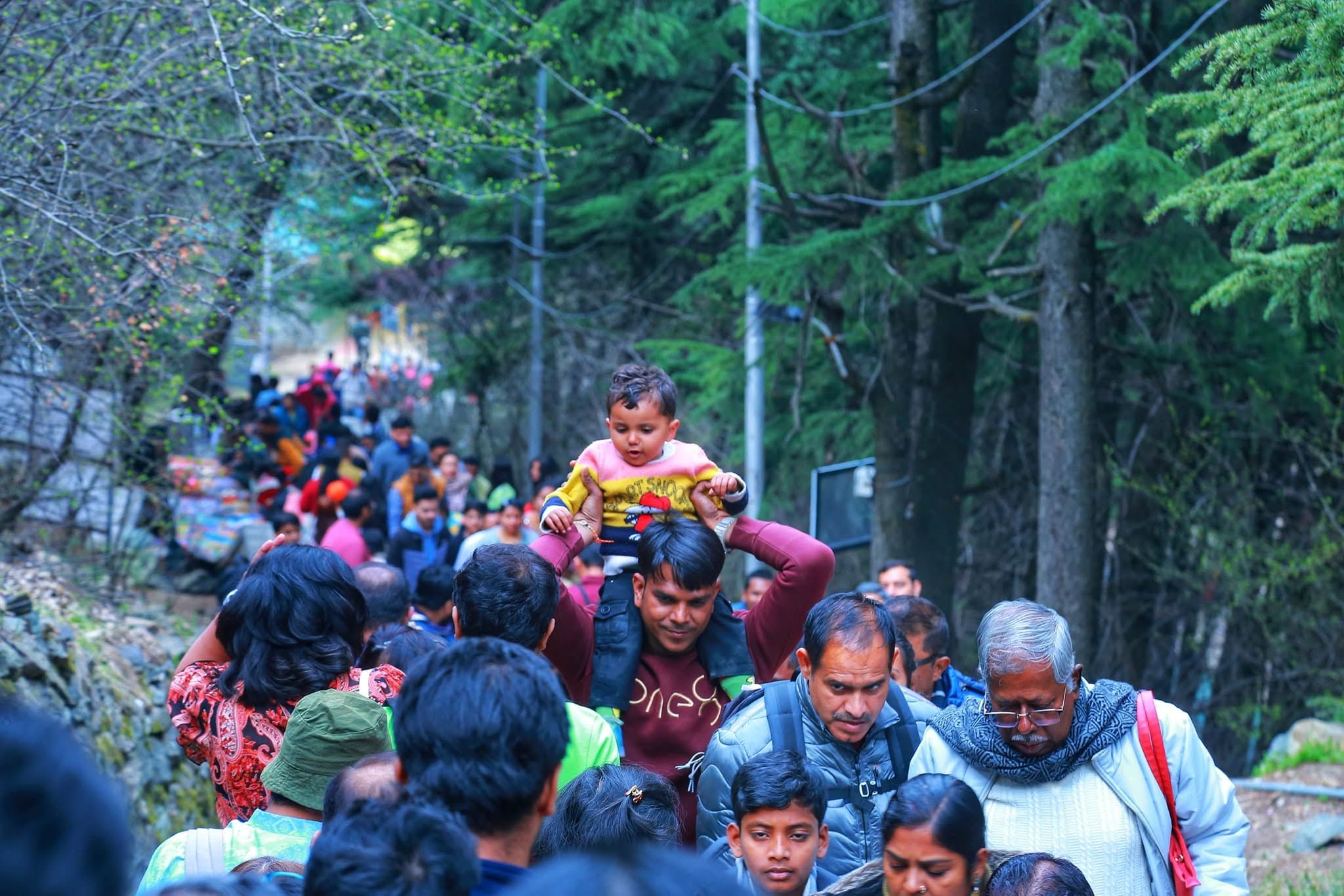 TULIP FESTIVAL @KASHMIR  - Image 7