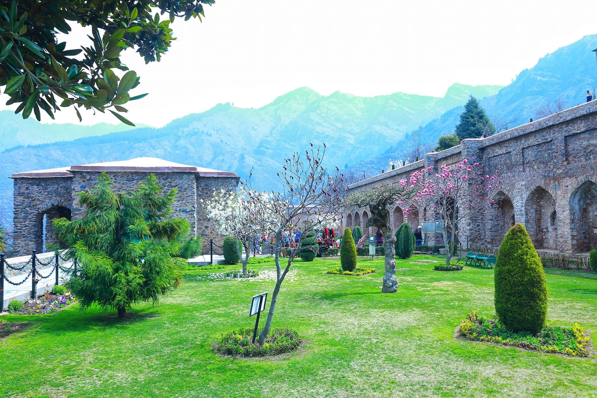 TULIP FESTIVAL @KASHMIR  - Image 11