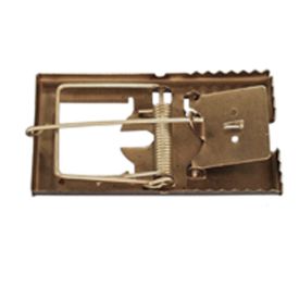 0610 - MUIZEVALLEN IN PLAATSTAAL  img