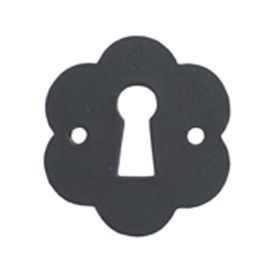 Afdekplaatje baardsleutelgat img