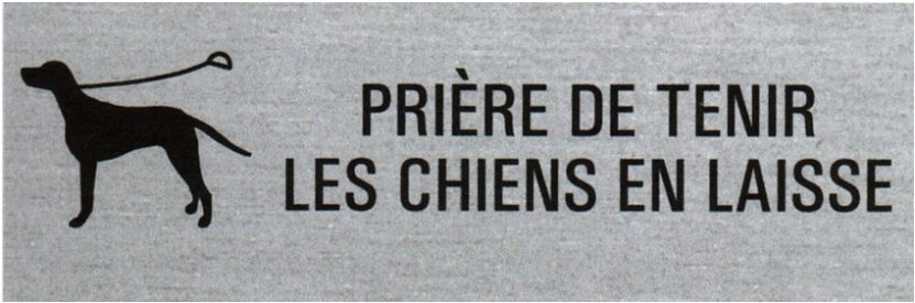 Pictogram vlak STEELOX rechthoekig 240 x 80 mm img