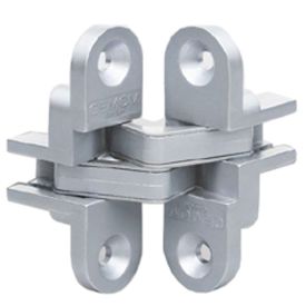 Onzichtbare scharnier img