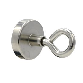 3000-8513 - 2 NEODYMIUM MAGNEETOGEN ZILVERKLEURIG Ø 32 MM img