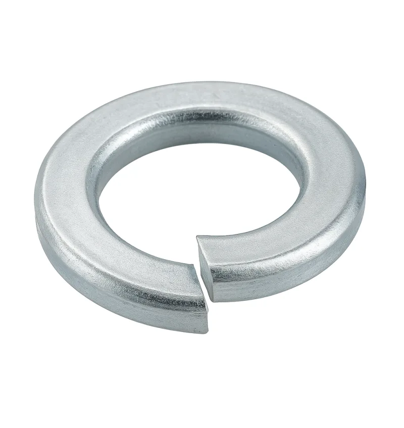 0186-1 1-0186-12-10 img