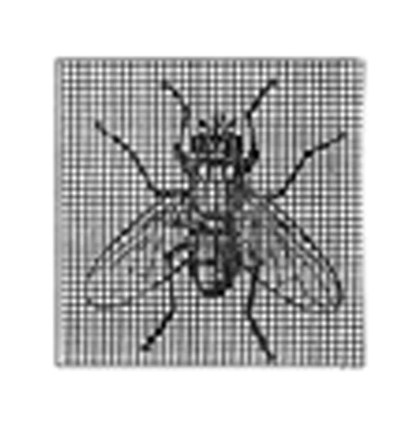8001-0 1708 img