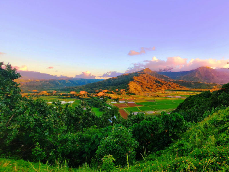 Golden sunlight illuminates rolling green hills and distant mountains under a pastel sky.