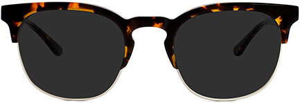 Link to product page for tortoise Atticus sunglasses with silver