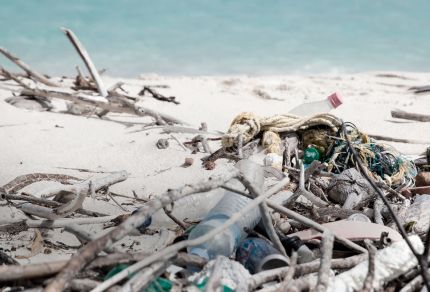 Global Cleanup Network