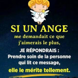 Voisin Vigilant Solidaire 