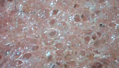 Things that are dirtier than your toilet seat