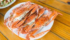 Mandurah crabbing goes to a whole new level
