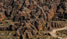 How the Bungle Bungles got their stripes