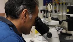 Medical cannabis in WA: Where are we at?