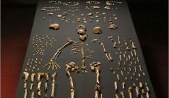 Dating Homo naledi: the Surprising Story