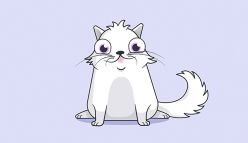 Blockchain enabled cat breeding and the future of gambling
