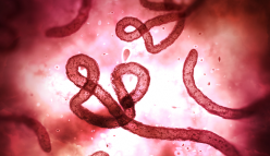 A shortcut to testing for Ebola