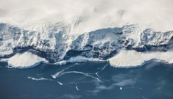 The Antarctica Experience—A VR Adventure