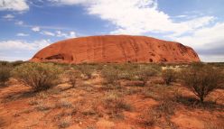 Cancer-causing HTLV-1 virus is common in parts of Australia