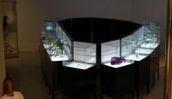 Biomess—The Tissue Culture & Art Project