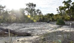 New rehabilitation plan to restore Roe 8