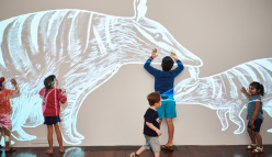 ANIMAZE: Amazing Animals for Kids