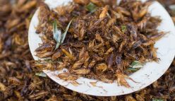 Grubs are up this Christmas