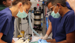 Ear, Nose, Throat … and Lemur specialist?