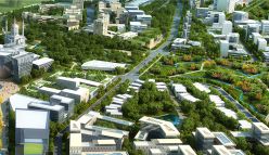 Particle Podcast: Sustainable Cities