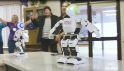 Robot therapy in aged care: the good and the Buddy