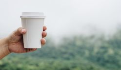Cutting the cups: how to dispose of an everyday problem