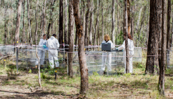 A day at a ‘body farm’