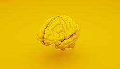 The 3D-printed healthcare revolution
