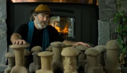 Fantastic Fungi