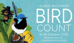 Aussie Backyard Bird Count 2020