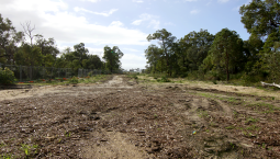 Restoring Roe 8